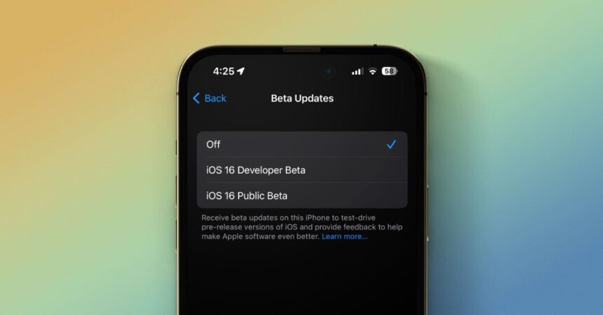 How to turn on iOS beta updates in Settings